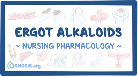 Ergot alkaloids: Nursing pharmacology: Video, Causes, & Meaning | Osmosis