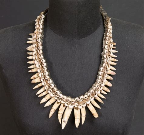 Necklace of crocodile teeth and shells - Ramu River - Papua New-Guinea ...