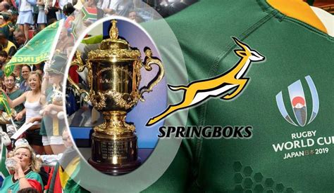 Interesting Facts About the Springboks’ Final Match and The Rugby World ...