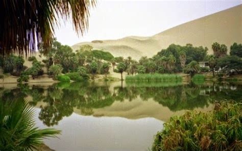 Saudi Arabia: Al Ahsa Oasis enters Guinness World Records | Saudi ...