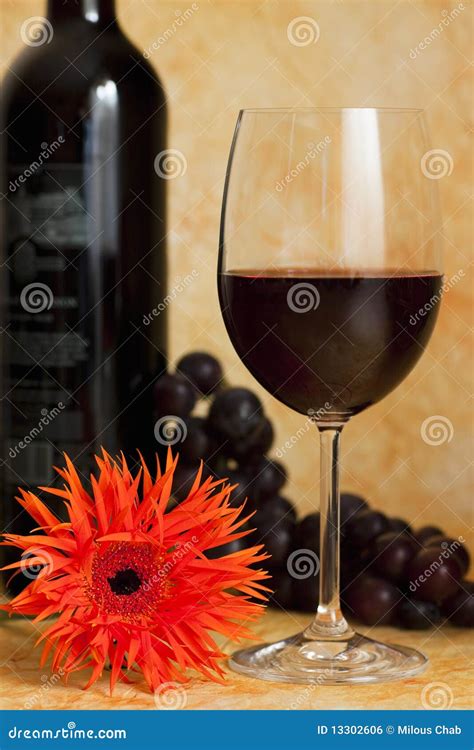 Red vine with red grapes stock photo. Image of beverage - 13302606