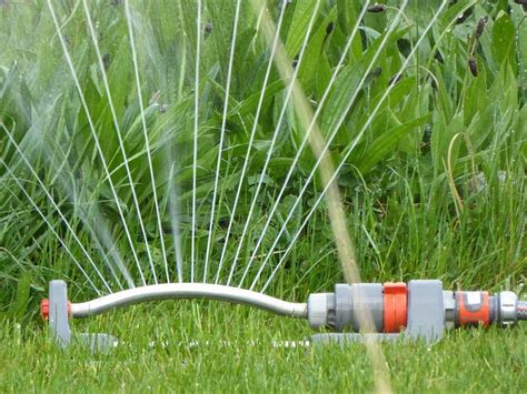 Lawn Care Tip: Sprinkler Buddy - Pest Control Exterminators in Methuen, MA