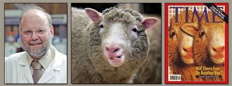 10 Interesting Facts About Dolly The Cloned Sheep | Learnodo Newtonic