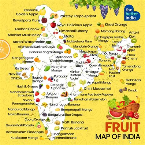 Fruit Map of India: 60 Famous Local Varieties & Where to Find Them