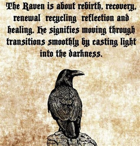 The Characteristics of the Raven as a Spirit Animal – Witches Of The ...