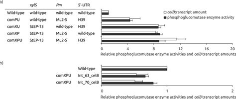 Phosphoglucomutase enzyme activities and celB transcript amounts for ...