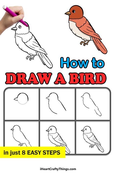 How To Draw A Bird Step By Step Easy With Pictures Bird Drawings ...