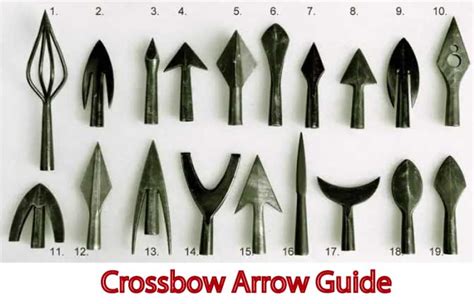 Crossbow Arrow Tips (Bolts) Guide - Shaft, Nock, Point Explained - Pro ...