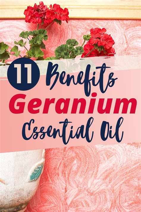 Geranium Oil Uses | Geranium essential oil, Essential oils detox ...