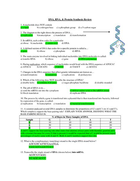 DNA, RNA, and Protein Synthesis Test : Biological Science Picture ...