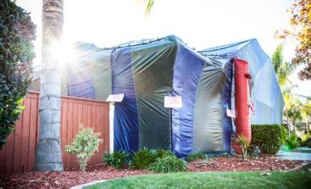 How Does Bed Bug Fumigation Work? - Pest Exterminators