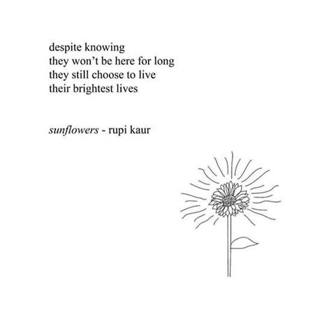 Sunflowers - Rupi Kaur | Rupi kaur quotes, Pretty words, Words quotes