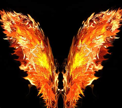 Wings Of Fire Wallpaper - How To Blog