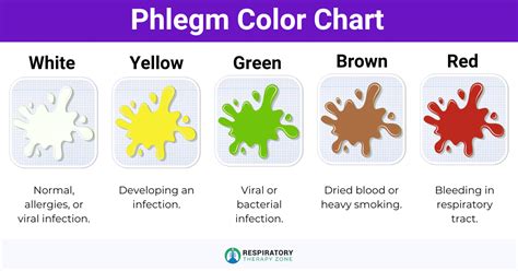 Phlegm in Throat After Laughing: Causes and Treatment (2024)