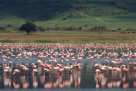 Ngorongoro Crater Lodge, Ngorongoro Conservation Area, Tanzania