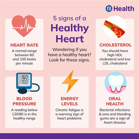 Heart Murmurs: Symptoms, Causes, Types, And Treatment