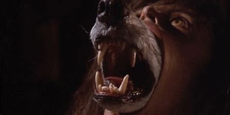 John’s Horror Corner: The Company of Wolves (1984), featuring two of ...