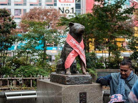 Hachiko Memorial Statue | Official Tokyo Guide | The Best Japan