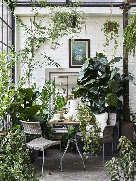 Plants For A Garden Room - Image to u