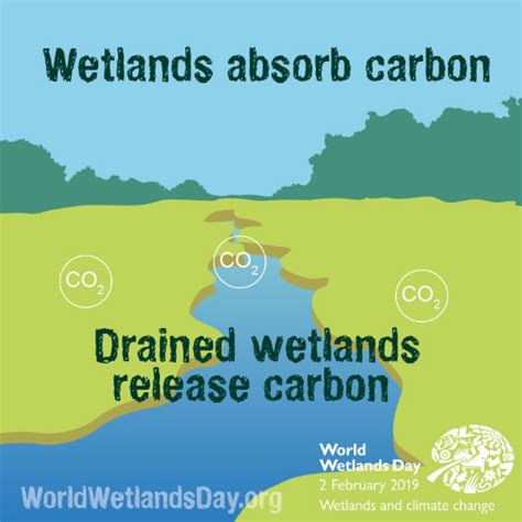 Wetlands & Climate Change - Integrate Sustainability