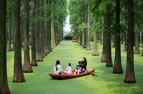 Yangzhou tour becomes national rural tourism route