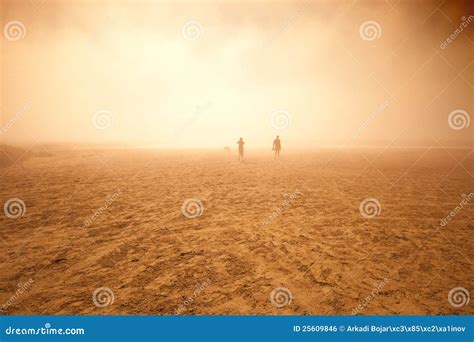 Sandstorm photo stock photo. Image of disaster, people - 25609846