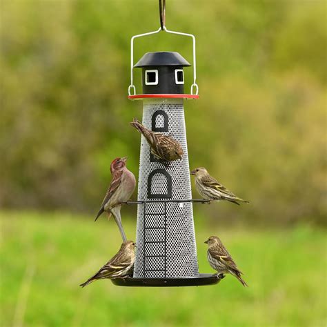 Amazon.com : No/No Solar Lighthouse Finch Bird Feeder : Wild Bird ...