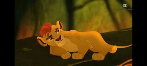 Kion gets his scar | Lion king, Disney, Lion guard