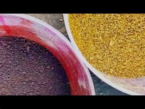 BLOOD MEAL VS BONE MEAL👩‍🌾 HOW AND WHEN TO FERTILIZE PLANTS WITH THEM🙌 ...