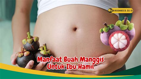 Manfaat Buah Manggis Untuk Ibu Hamil - Birds n Bees