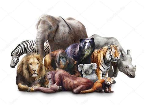 Group of animals Stock Photo by ©Elena Schweitzer 11487368