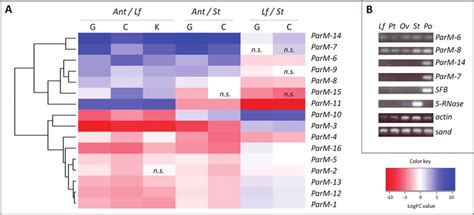 Gene expression analysis. (A) Heat map illustrating RNA-Seq ...