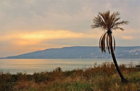 Sea of Galilee | Israel, Fishing, Map, & History | Britannica