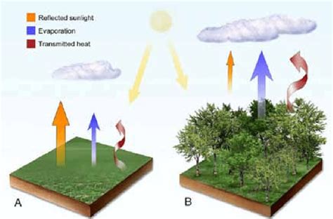 "Examples of various biophysical factors in a grassland or cropland (A ...