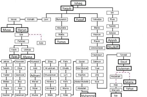 Family tree of prophets | Studio Arabiya in Egypt