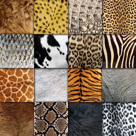 Animal Skin Textures Digital Paper (37185) | Backgrounds | Design Bundles