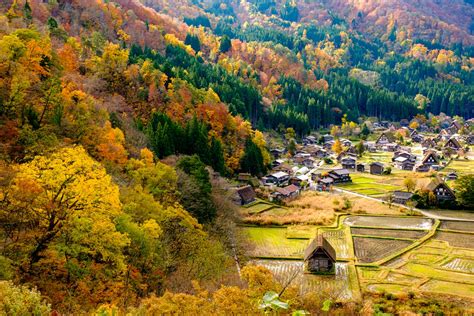 Travel Photography Tips for Capturing Fall Colors in Japan