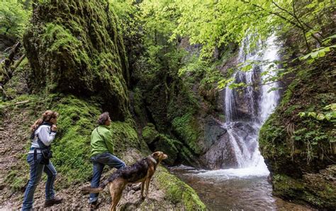 Wasserfälle im Allgäu: Wanderungen im Herbst für Familien - Aktuelle ...