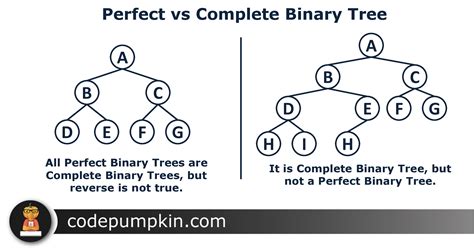 Degree Of Binary Tree / Binary Tree Binary Search Tree : A ...