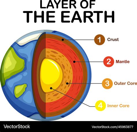 Diagram showing layers of the earth lithosphere Vector Image