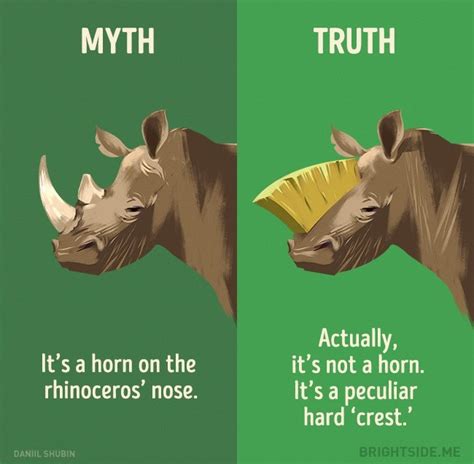 12 Myths About Animals That We Still Believe - Magicorama