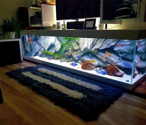 #aquariumfishtanksanimals | Fish tank decorations, Aquarium, Cool fish ...