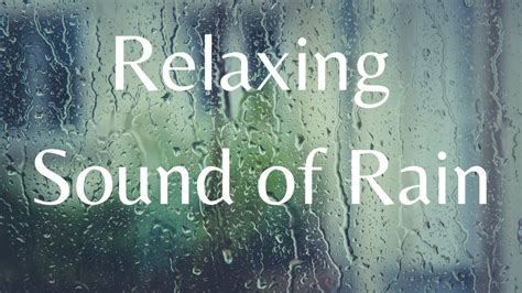 1 Minute Relaxing Sound of Rain | Calming and Relieving | Nature Sound ...