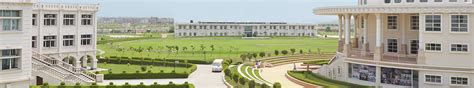 Noida International University | Noida, Uttar Pradesh | Programs Offered