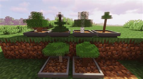 Bonsai Trees 3 Minecraft Mod - Apex Hosting