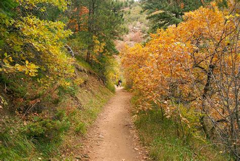 Deer Creek Canyon Loop Hike - Day Hikes Near Denver