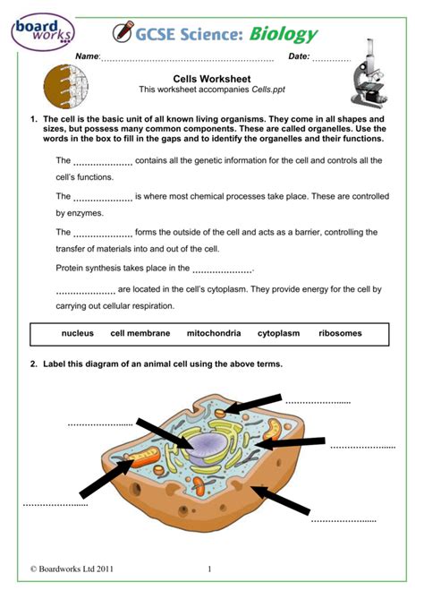 Cell Structure Science Journal Worksheet