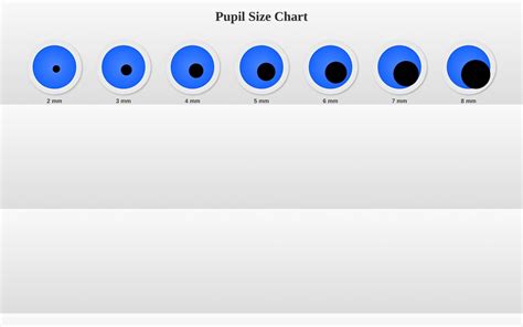 Pupil Size Chart Printable