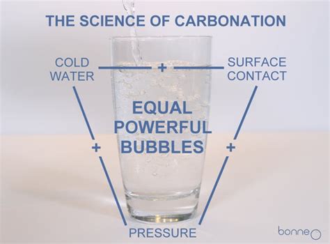 The Science of Carbonation: A Visual Guide to Great Carbonation – Bonne O