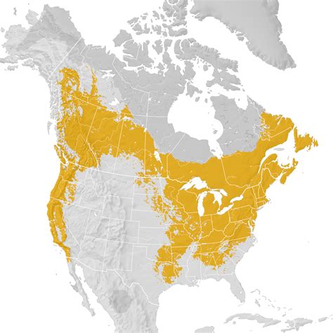 Purple Finch - Range map: Pre-breeding migration - eBird Status and Trends